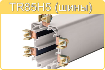 Giovenzana TR85h5